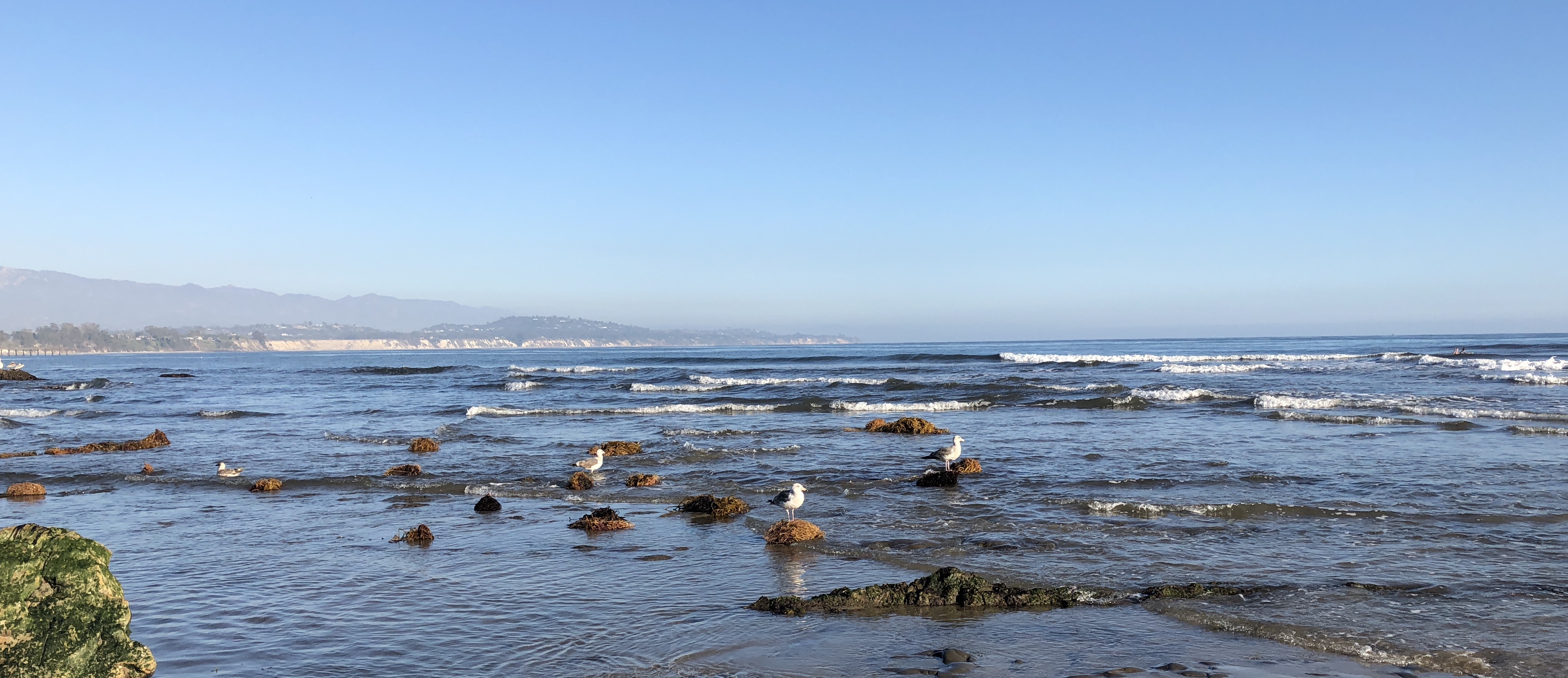 Coastal Fund protects, enhances, and restores the UCSB coastline.